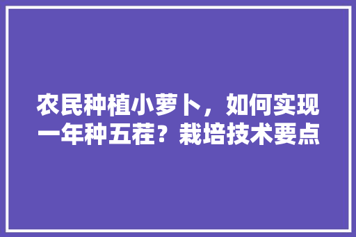 农民种植小萝卜，如何实现一年种五茬？栽培技术要点有哪些，。 农民种植小萝卜，如何实现一年种五茬？栽培技术要点有哪些，。 蔬菜种植