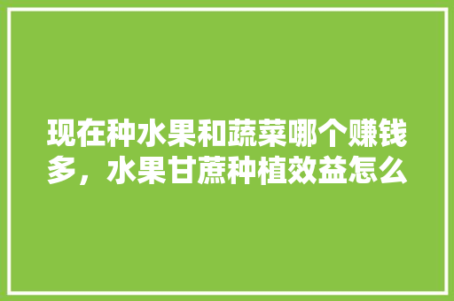 现在种水果和蔬菜哪个赚钱多，水果甘蔗种植效益怎么样。 现在种水果和蔬菜哪个赚钱多，水果甘蔗种植效益怎么样。 蔬菜种植