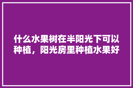 什么水果树在半阳光下可以种植，阳光房里种植水果好吗。 什么水果树在半阳光下可以种植，阳光房里种植水果好吗。 水果种植