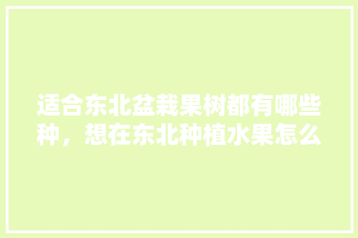 适合东北盆栽果树都有哪些种，想在东北种植水果怎么办。 适合东北盆栽果树都有哪些种，想在东北种植水果怎么办。 土壤施肥