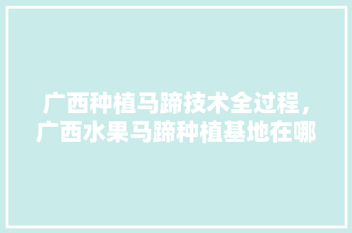 广西种植马蹄技术全过程，广西水果马蹄种植基地在哪里。 广西种植马蹄技术全过程，广西水果马蹄种植基地在哪里。 水果种植