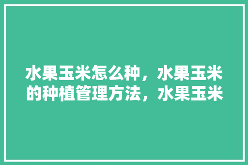 水果玉米怎么种，水果玉米的种植管理方法，水果玉米播种机器。 水果玉米怎么种，水果玉米的种植管理方法，水果玉米播种机器。 畜牧养殖