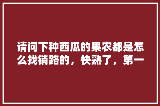 请问下种西瓜的果农都是怎么找销路的，快熟了，第一次种西瓜不懂，种植水果卖给超市赚钱吗。 请问下种西瓜的果农都是怎么找销路的，快熟了，第一次种西瓜不懂，种植水果卖给超市赚钱吗。 水果种植