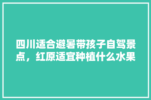 四川适合避暑带孩子自驾景点，红原适宜种植什么水果品种。 四川适合避暑带孩子自驾景点，红原适宜种植什么水果品种。 土壤施肥