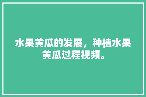 水果黄瓜的发展，种植水果黄瓜过程视频。 水果黄瓜的发展，种植水果黄瓜过程视频。 水果种植