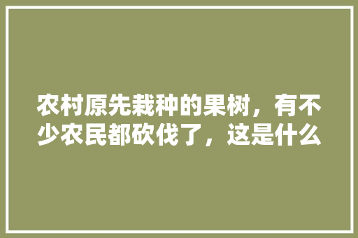 农村原先栽种的果树，有不少农民都砍伐了，这是什么原因，种植水果为什么会掉叶子。 农村原先栽种的果树，有不少农民都砍伐了，这是什么原因，种植水果为什么会掉叶子。 土壤施肥