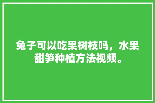 兔子可以吃果树枝吗，水果甜笋种植方法视频。 兔子可以吃果树枝吗，水果甜笋种植方法视频。 土壤施肥