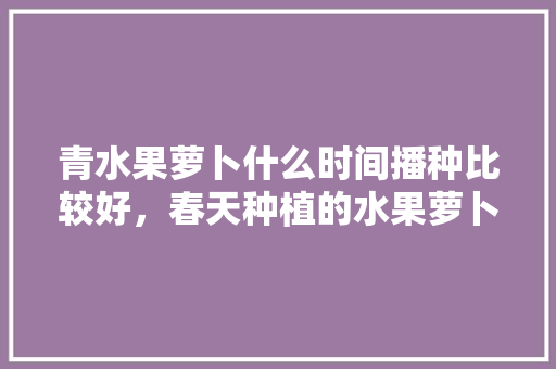 青水果萝卜什么时间播种比较好，春天种植的水果萝卜能吃吗。 青水果萝卜什么时间播种比较好，春天种植的水果萝卜能吃吗。 土壤施肥