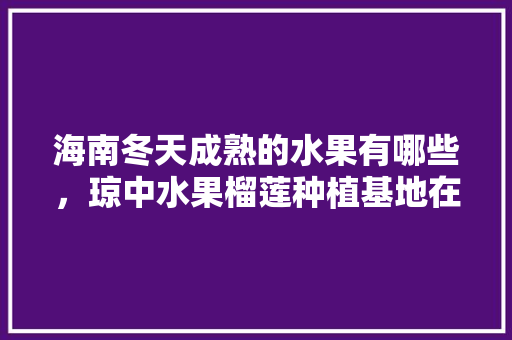 海南冬天成熟的水果有哪些，琼中水果榴莲种植基地在哪里。 海南冬天成熟的水果有哪些，琼中水果榴莲种植基地在哪里。 家禽养殖