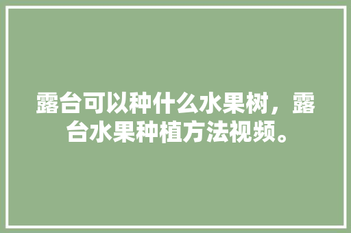 露台可以种什么水果树，露台水果种植方法视频。 露台可以种什么水果树，露台水果种植方法视频。 畜牧养殖