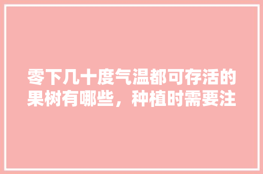 零下几十度气温都可存活的果树有哪些，种植时需要注意些什么，什么水果冬天种植最好吃。 零下几十度气温都可存活的果树有哪些，种植时需要注意些什么，什么水果冬天种植最好吃。 蔬菜种植