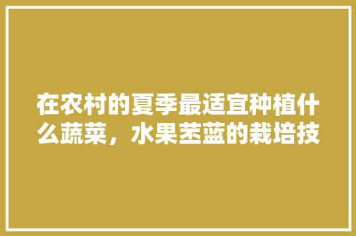 在农村的夏季最适宜种植什么蔬菜，水果苤蓝的栽培技术。 在农村的夏季最适宜种植什么蔬菜，水果苤蓝的栽培技术。 土壤施肥