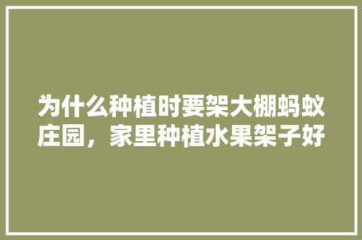 为什么种植时要架大棚蚂蚁庄园，家里种植水果架子好吗视频。 为什么种植时要架大棚蚂蚁庄园，家里种植水果架子好吗视频。 土壤施肥