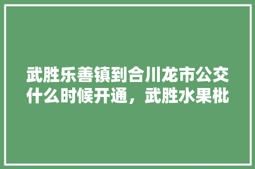 武胜乐善镇到合川龙市公交什么时候开通，武胜水果枇杷种植基地在哪里。 武胜乐善镇到合川龙市公交什么时候开通，武胜水果枇杷种植基地在哪里。 水果种植