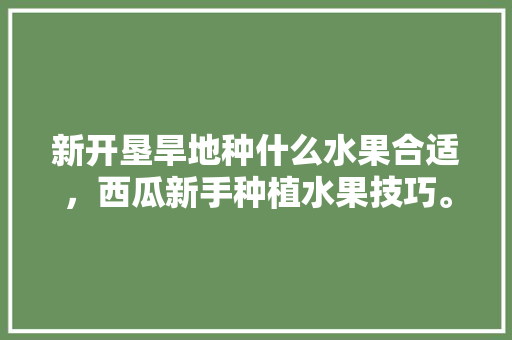 新开垦旱地种什么水果合适，西瓜新手种植水果技巧。 新开垦旱地种什么水果合适，西瓜新手种植水果技巧。 畜牧养殖