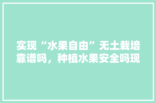 实现“水果自由”无土栽培靠谱吗，种植水果安全吗现在。 实现“水果自由”无土栽培靠谱吗，种植水果安全吗现在。 水果种植