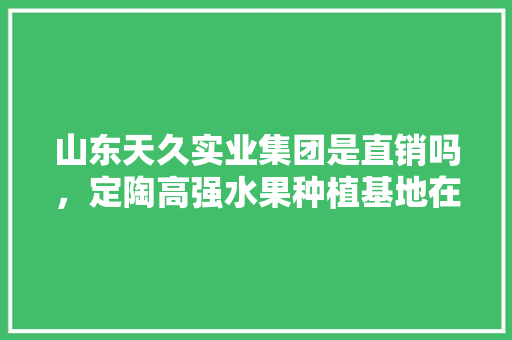 山东天久实业集团是直销吗，定陶高强水果种植基地在哪里。 山东天久实业集团是直销吗，定陶高强水果种植基地在哪里。 土壤施肥