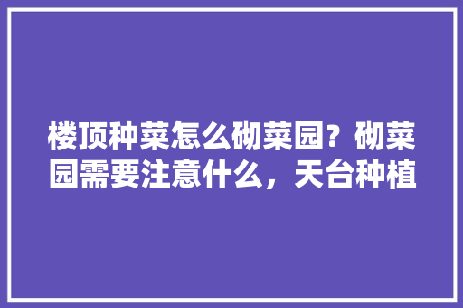 楼顶种菜怎么砌菜园？砌菜园需要注意什么，天台种植水果蔬菜视频。 楼顶种菜怎么砌菜园？砌菜园需要注意什么，天台种植水果蔬菜视频。 蔬菜种植