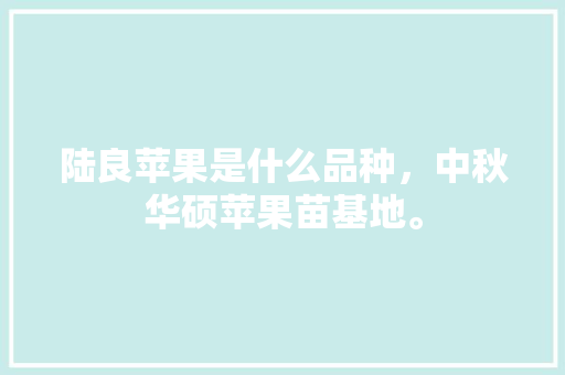 陆良苹果是什么品种，中秋华硕苹果苗基地。 陆良苹果是什么品种，中秋华硕苹果苗基地。 土壤施肥