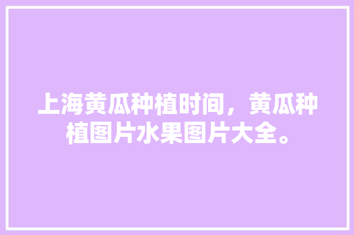 上海黄瓜种植时间，黄瓜种植图片水果图片大全。 上海黄瓜种植时间，黄瓜种植图片水果图片大全。 水果种植