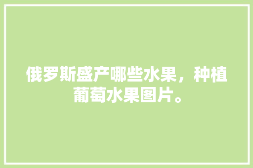 俄罗斯盛产哪些水果，种植葡萄水果图片。 俄罗斯盛产哪些水果，种植葡萄水果图片。 蔬菜种植