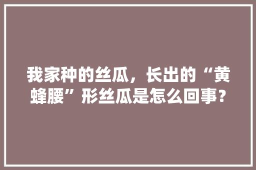 我家种的丝瓜，长出的“黄蜂腰”形丝瓜是怎么回事？有的里面已有虫该如何防止，水果丝瓜种子图片。 我家种的丝瓜，长出的“黄蜂腰”形丝瓜是怎么回事？有的里面已有虫该如何防止，水果丝瓜种子图片。 水果种植