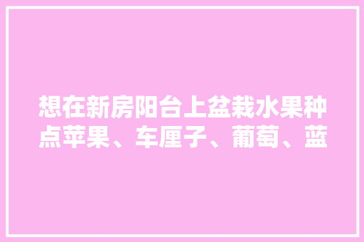 想在新房阳台上盆栽水果种点苹果、车厘子、葡萄、蓝莓，该选择多大的花盆好？该怎么种，阳台种植水果盆景好吗。 想在新房阳台上盆栽水果种点苹果、车厘子、葡萄、蓝莓，该选择多大的花盆好？该怎么种，阳台种植水果盆景好吗。 畜牧养殖