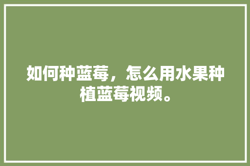 如何种蓝莓，怎么用水果种植蓝莓视频。 如何种蓝莓，怎么用水果种植蓝莓视频。 畜牧养殖