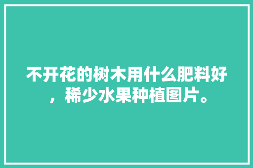 不开花的树木用什么肥料好，稀少水果种植图片。 不开花的树木用什么肥料好，稀少水果种植图片。 畜牧养殖