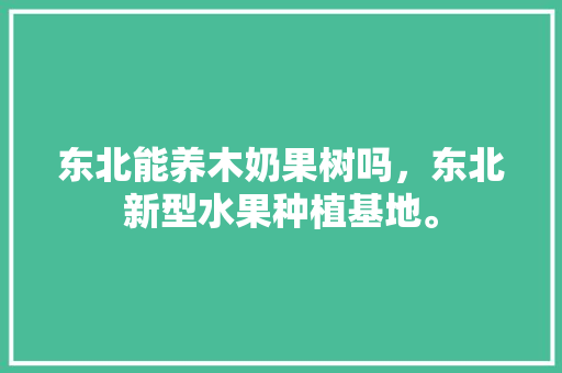 东北能养木奶果树吗，东北新型水果种植基地。 东北能养木奶果树吗，东北新型水果种植基地。 畜牧养殖