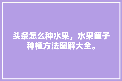 头条怎么种水果，水果筐子种植方法图解大全。 头条怎么种水果，水果筐子种植方法图解大全。 水果种植