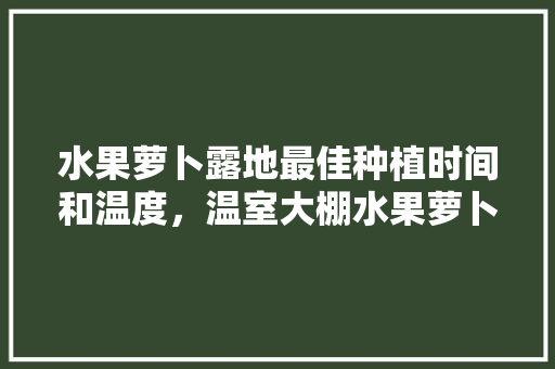 水果萝卜露地最佳种植时间和温度，温室大棚水果萝卜种植技术视频。 水果萝卜露地最佳种植时间和温度，温室大棚水果萝卜种植技术视频。 蔬菜种植