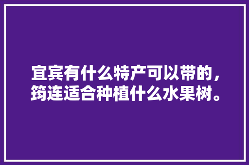 宜宾有什么特产可以带的，筠连适合种植什么水果树。 宜宾有什么特产可以带的，筠连适合种植什么水果树。 土壤施肥