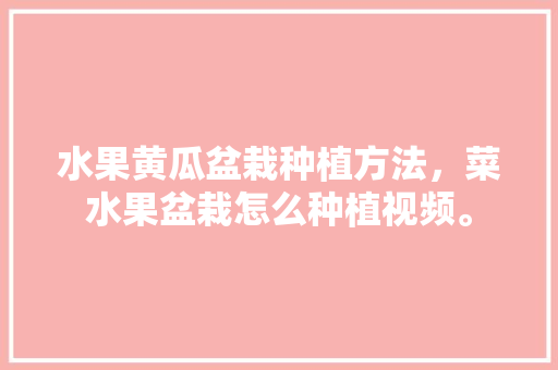 水果黄瓜盆栽种植方法，菜水果盆栽怎么种植视频。 水果黄瓜盆栽种植方法，菜水果盆栽怎么种植视频。 土壤施肥