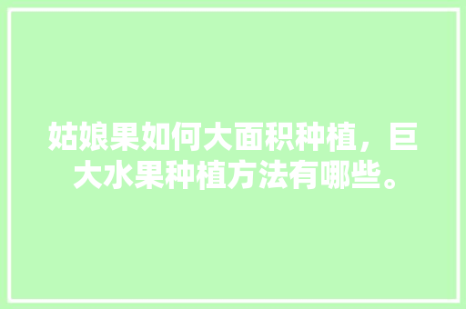 姑娘果如何大面积种植，巨大水果种植方法有哪些。 姑娘果如何大面积种植，巨大水果种植方法有哪些。 土壤施肥