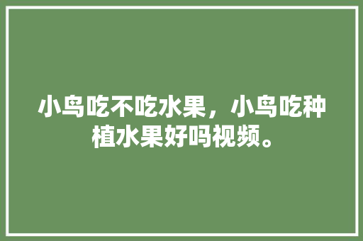 小鸟吃不吃水果，小鸟吃种植水果好吗视频。 小鸟吃不吃水果，小鸟吃种植水果好吗视频。 家禽养殖