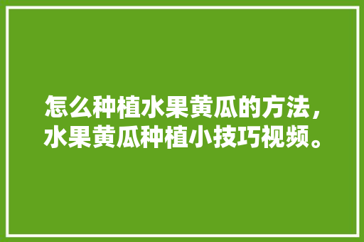 怎么种植水果黄瓜的方法，水果黄瓜种植小技巧视频。 怎么种植水果黄瓜的方法，水果黄瓜种植小技巧视频。 畜牧养殖