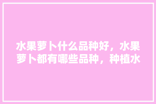 水果萝卜什么品种好，水果萝卜都有哪些品种，种植水果萝卜选择什么品种。 水果萝卜什么品种好，水果萝卜都有哪些品种，种植水果萝卜选择什么品种。 土壤施肥