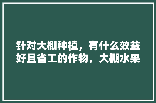 针对大棚种植，有什么效益好且省工的作物，大棚水果种植致富方案。 针对大棚种植，有什么效益好且省工的作物，大棚水果种植致富方案。 水果种植