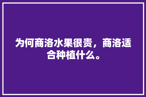 为何商洛水果很贵，商洛适合种植什么。 为何商洛水果很贵，商洛适合种植什么。 蔬菜种植