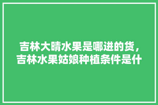 吉林大晴水果是哪进的货，吉林水果姑娘种植条件是什么。 吉林大晴水果是哪进的货，吉林水果姑娘种植条件是什么。 蔬菜种植