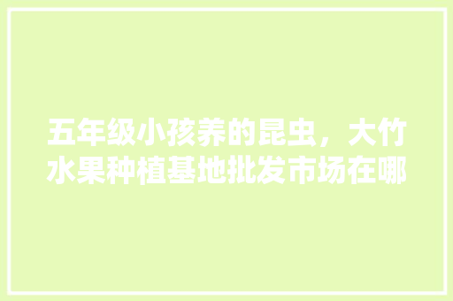 五年级小孩养的昆虫，大竹水果种植基地批发市场在哪。 五年级小孩养的昆虫，大竹水果种植基地批发市场在哪。 水果种植