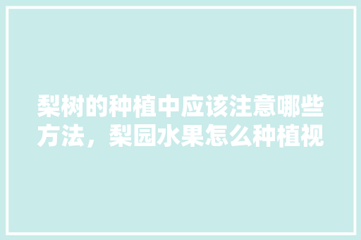 梨树的种植中应该注意哪些方法，梨园水果怎么种植视频。 梨树的种植中应该注意哪些方法，梨园水果怎么种植视频。 土壤施肥