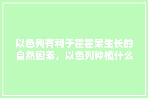 以色列有利于霍霍果生长的自然因素，以色列种植什么水果好吃。 以色列有利于霍霍果生长的自然因素，以色列种植什么水果好吃。 水果种植