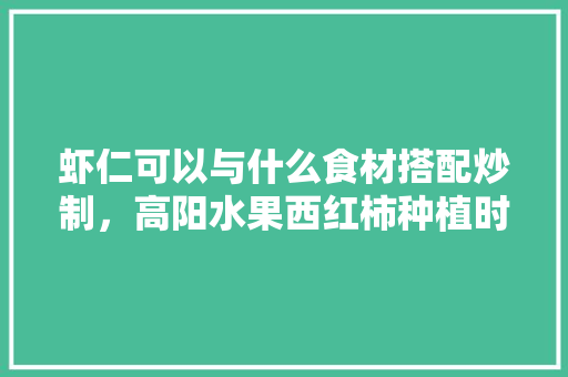 虾仁可以与什么食材搭配炒制，高阳水果西红柿种植时间表。 虾仁可以与什么食材搭配炒制，高阳水果西红柿种植时间表。 水果种植