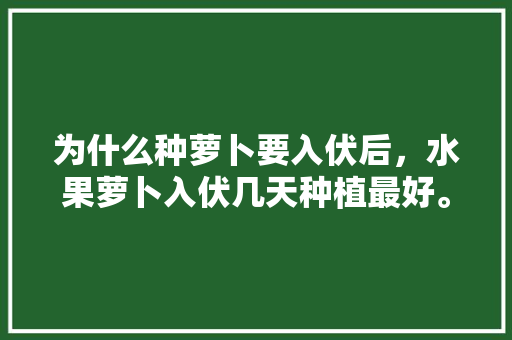 为什么种萝卜要入伏后，水果萝卜入伏几天种植最好。 为什么种萝卜要入伏后，水果萝卜入伏几天种植最好。 畜牧养殖