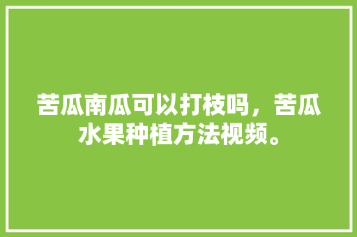 苦瓜南瓜可以打枝吗，苦瓜水果种植方法视频。 苦瓜南瓜可以打枝吗，苦瓜水果种植方法视频。 家禽养殖