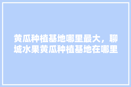 黄瓜种植基地哪里最大，聊城水果黄瓜种植基地在哪里。 黄瓜种植基地哪里最大，聊城水果黄瓜种植基地在哪里。 水果种植