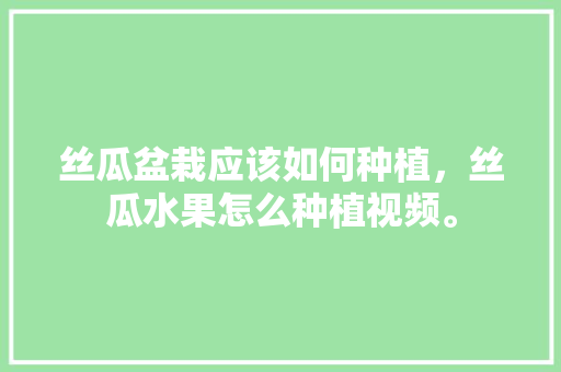 丝瓜盆栽应该如何种植，丝瓜水果怎么种植视频。 丝瓜盆栽应该如何种植，丝瓜水果怎么种植视频。 水果种植