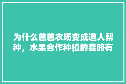 为什么芭芭农场变成邀人帮种，水果合作种植的套路有哪些。 为什么芭芭农场变成邀人帮种，水果合作种植的套路有哪些。 畜牧养殖